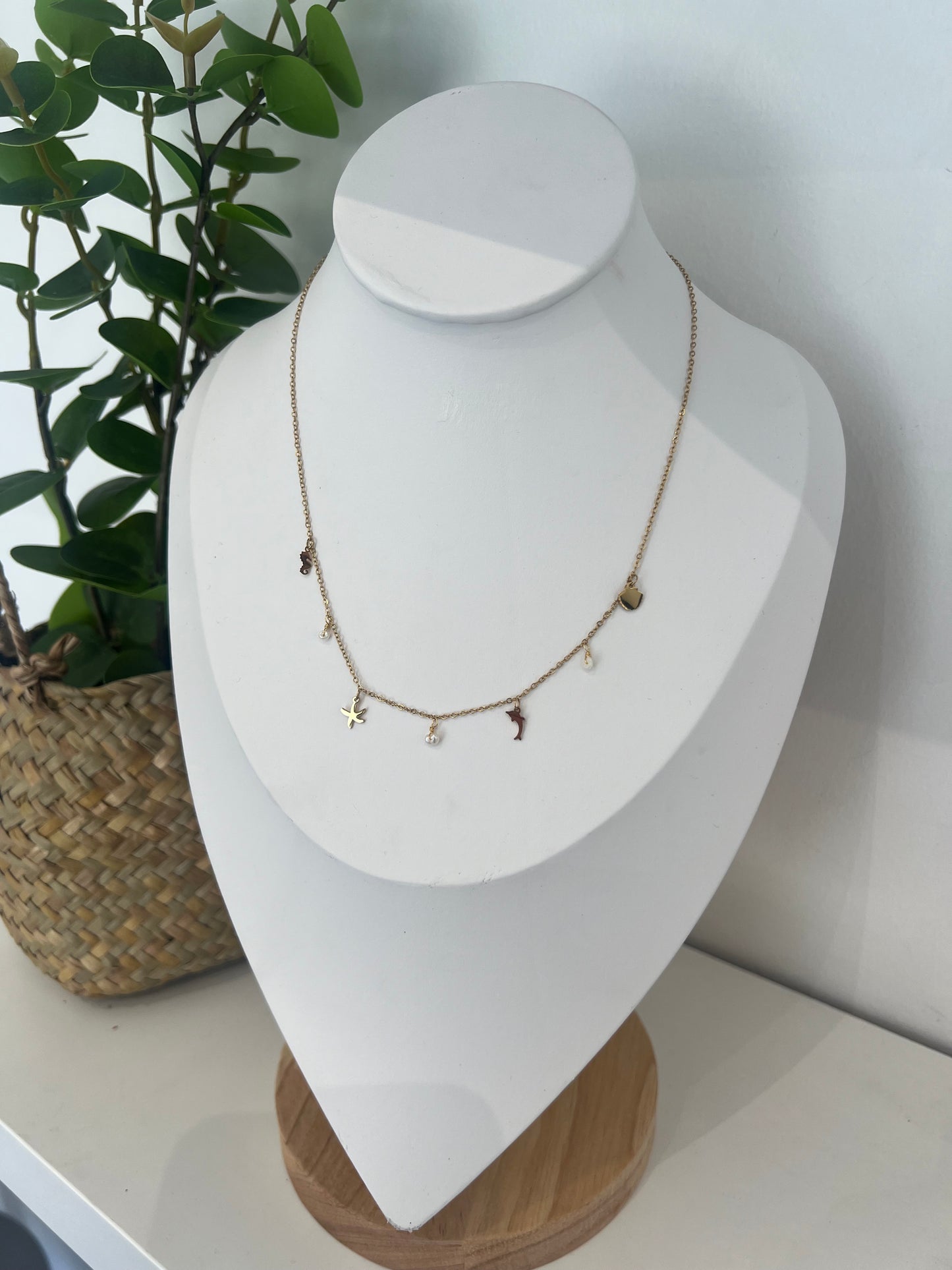 Collier Voyage