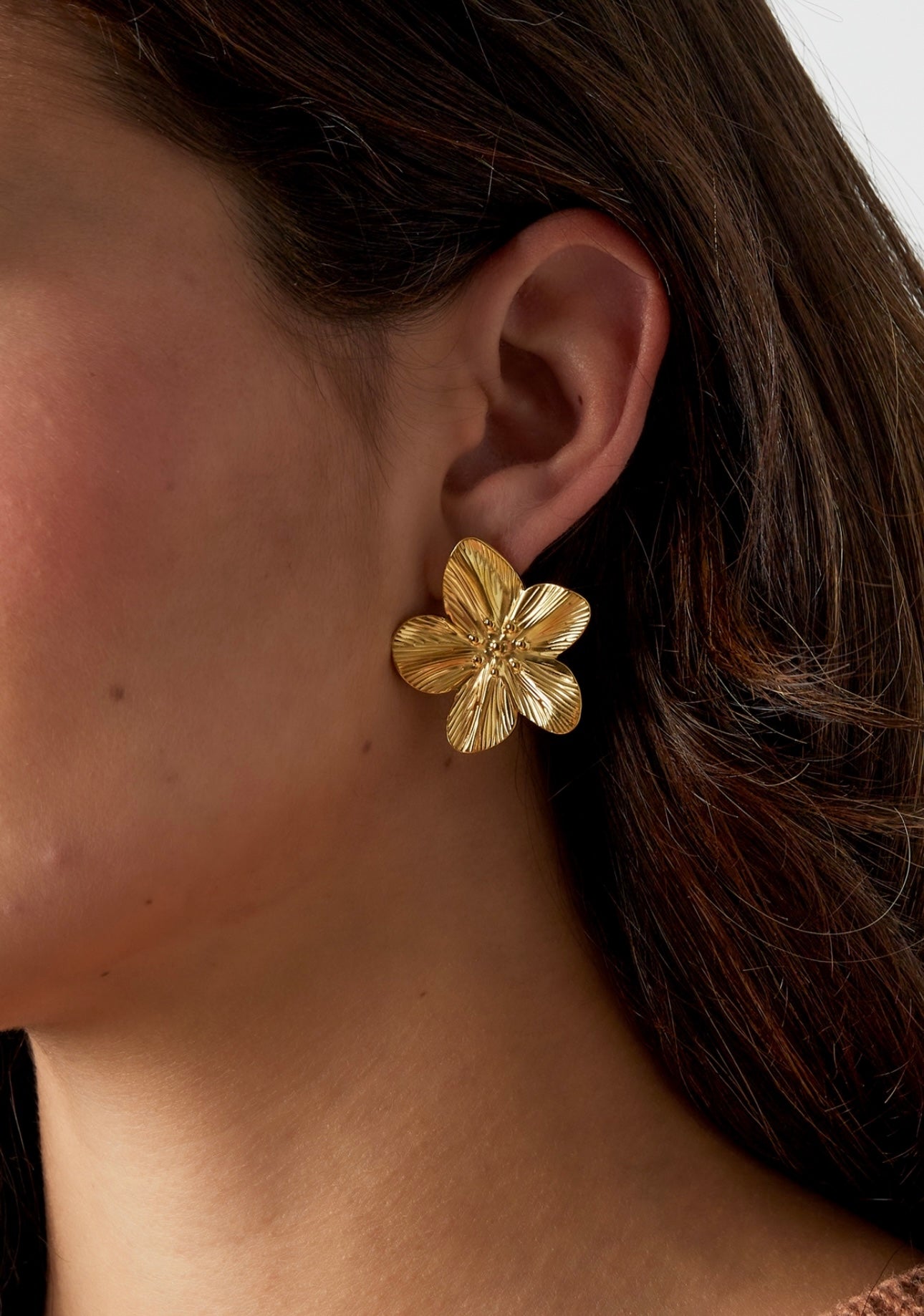 Boucles d’oreilles argenté